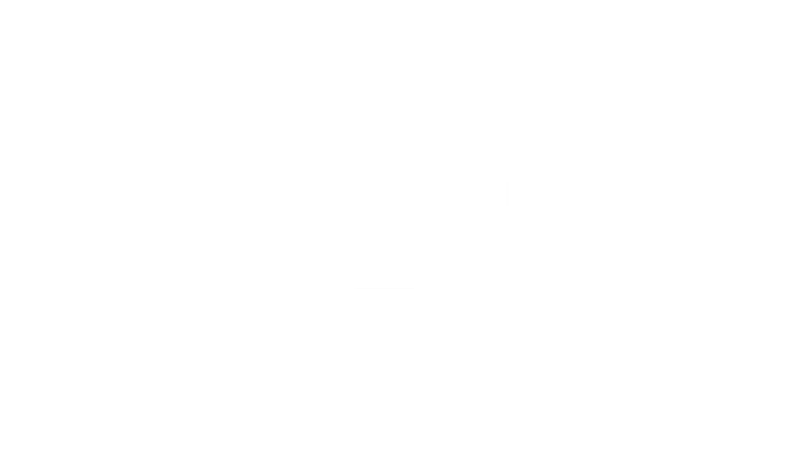 fs1 logo